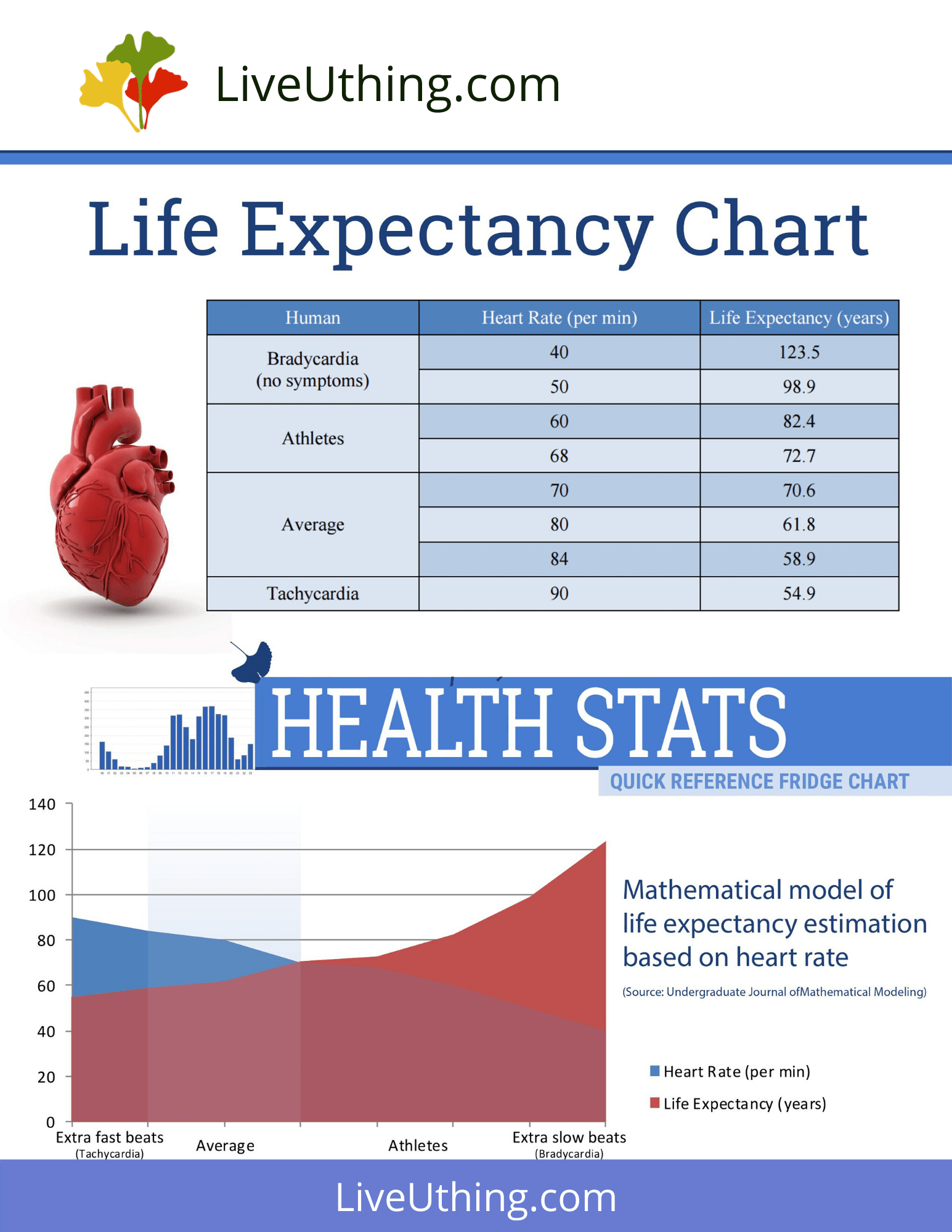 Life Expectancy Chart Live Uthing