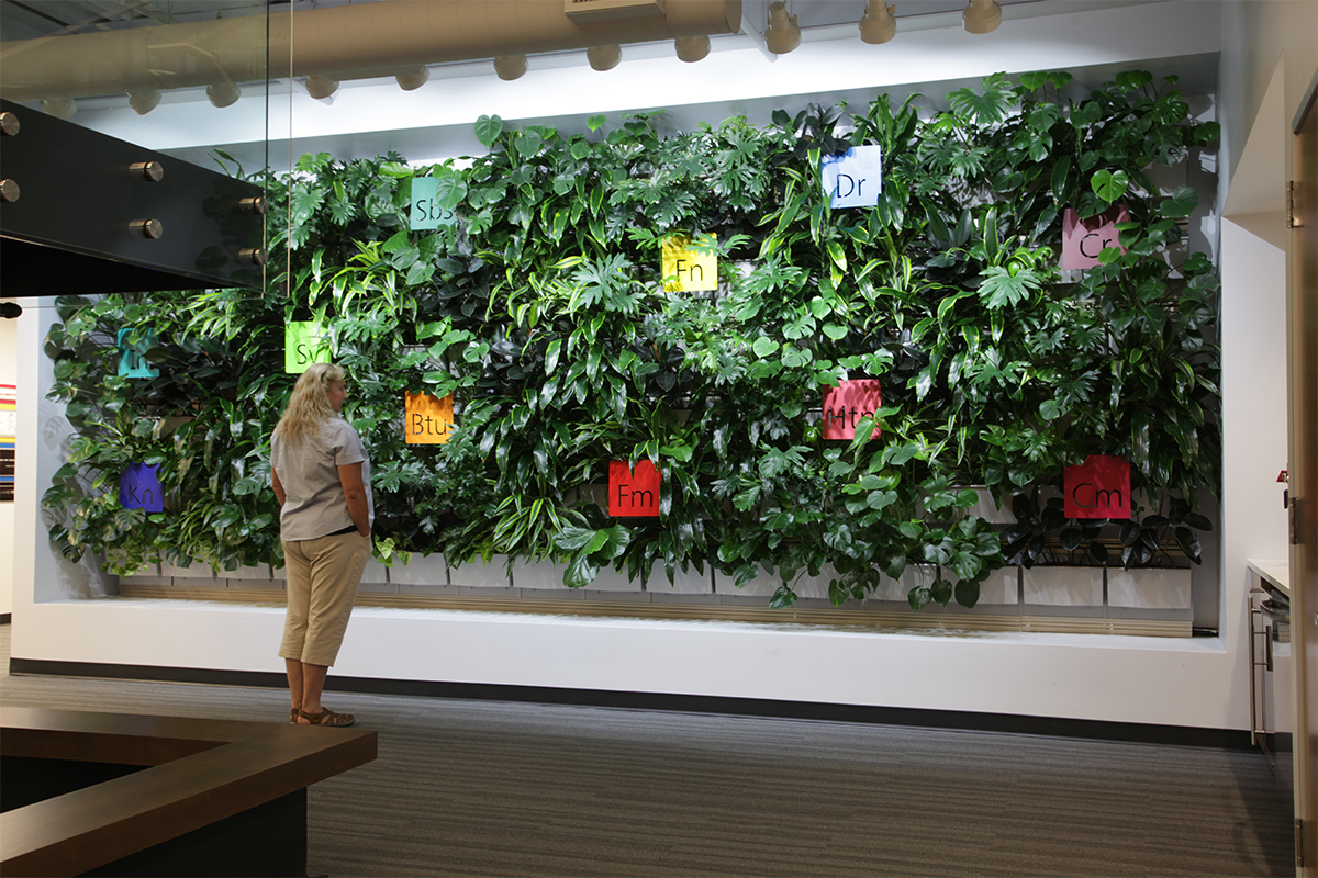 Applied Imaging Corporate Office Interior Lobby Living Wall LiveWall