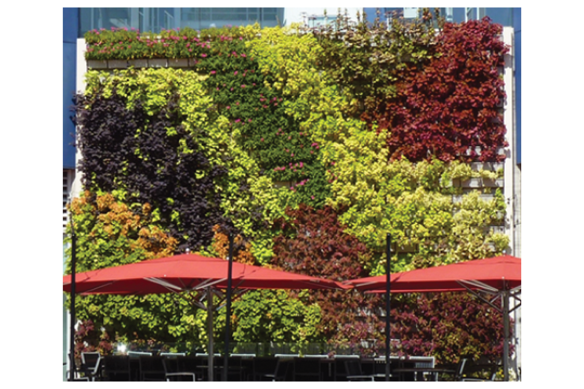 Plant Selection LiveWall Vertical Plant Wall System