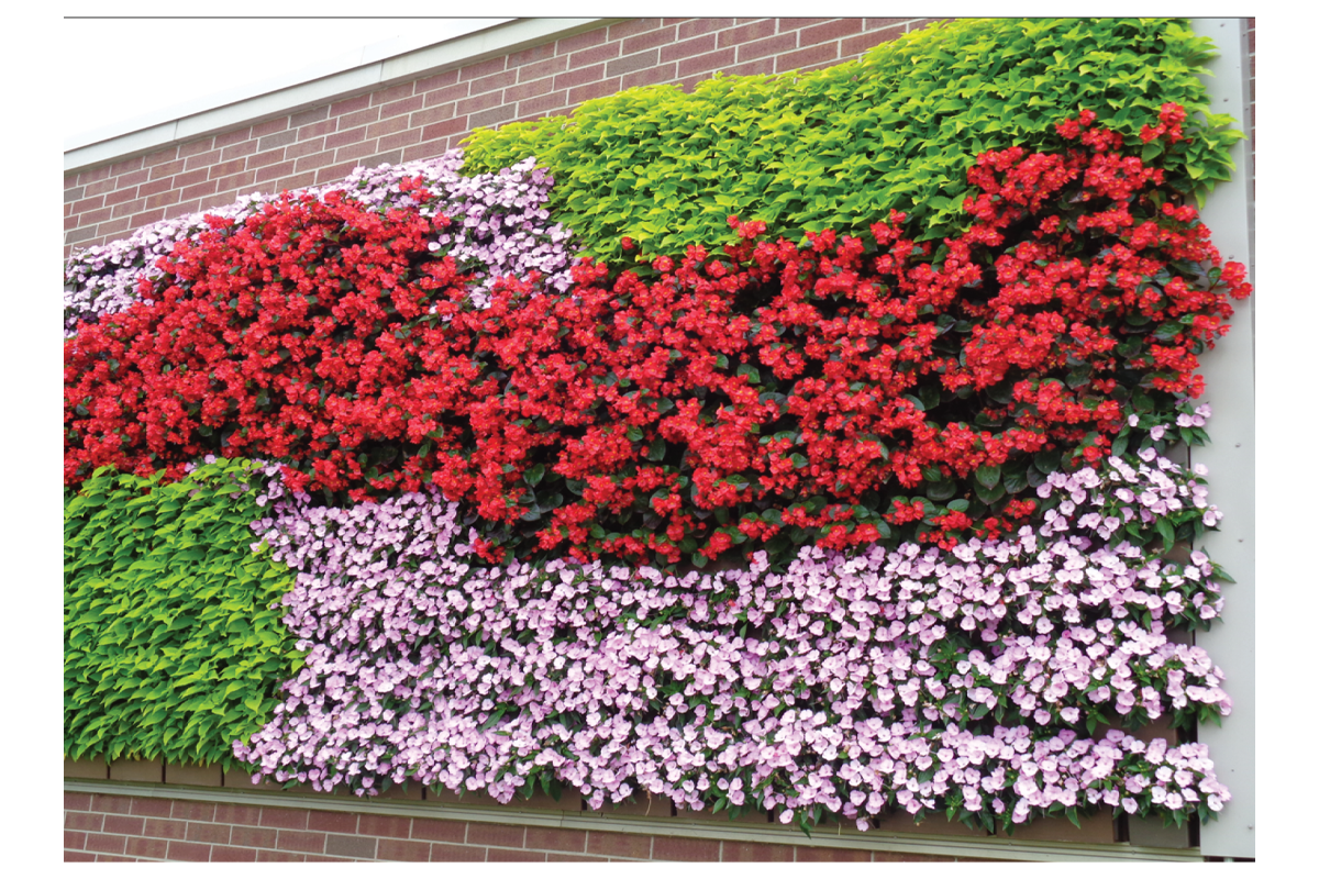 Plant Selection LiveWall Vertical Plant Wall System