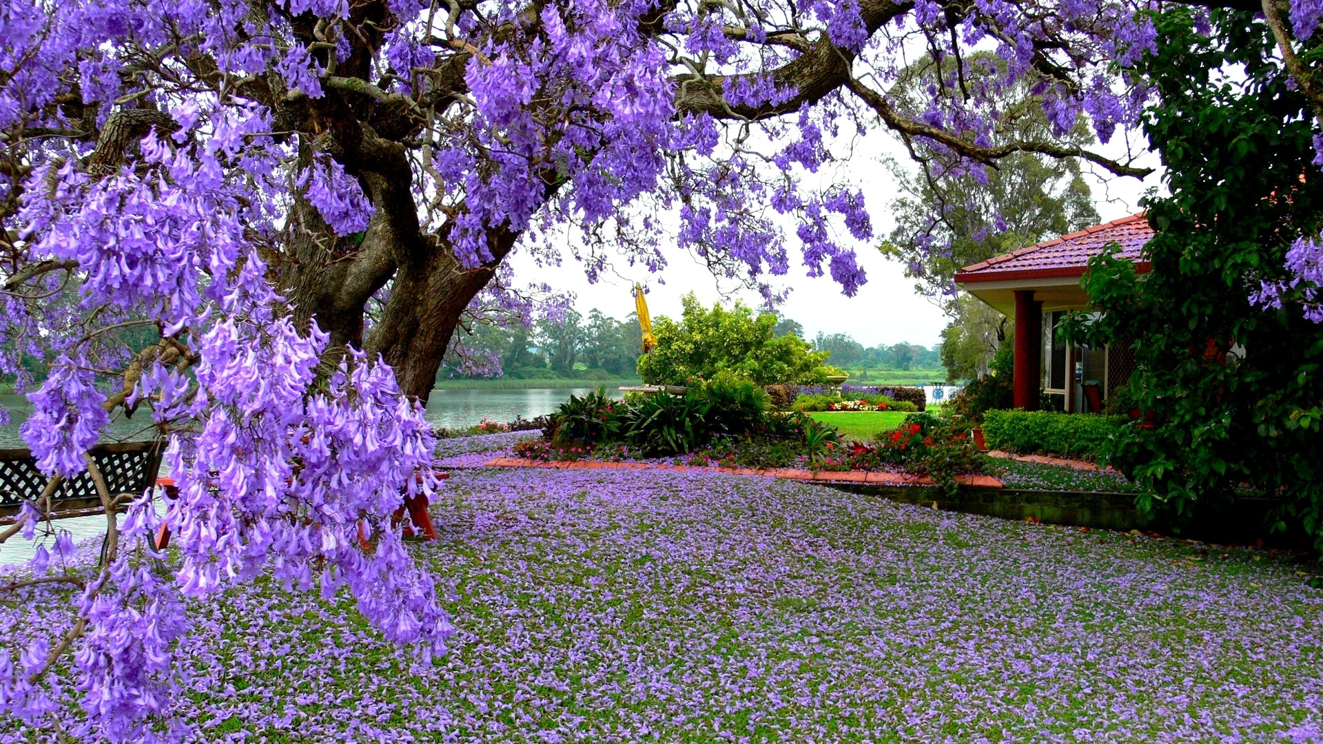 Spring Nature Desktop Backgrounds 2021 Live Wallpaper HD