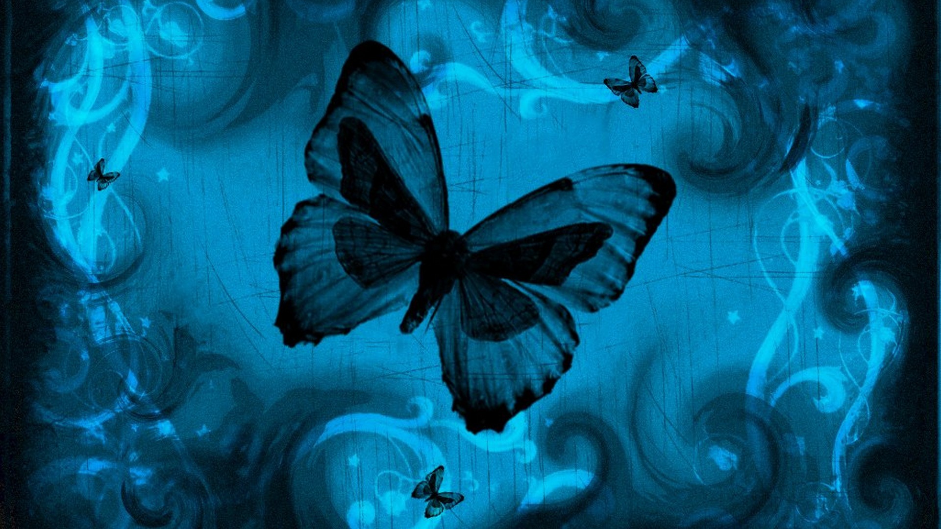 Blue Butterfly Wallpaper Hd For Pc Shardiff World