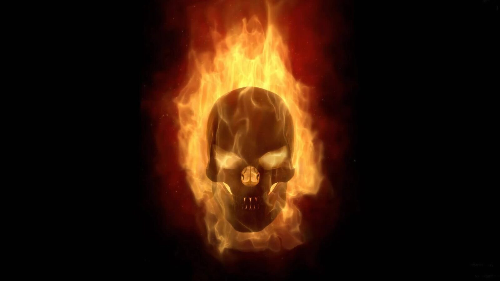 Burning Skull Fantasy Horror Free Live Wallpaper Live Desktop