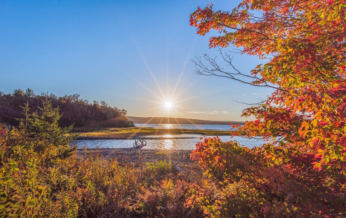 Lake Ainslie Waters Edge Leisure Living