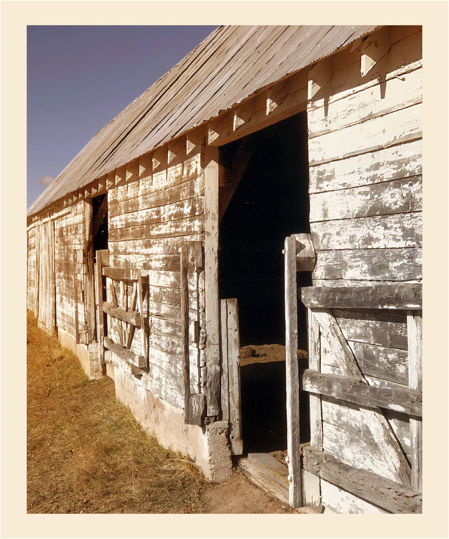 Why Whitney Ranch Live Whitney Ranch