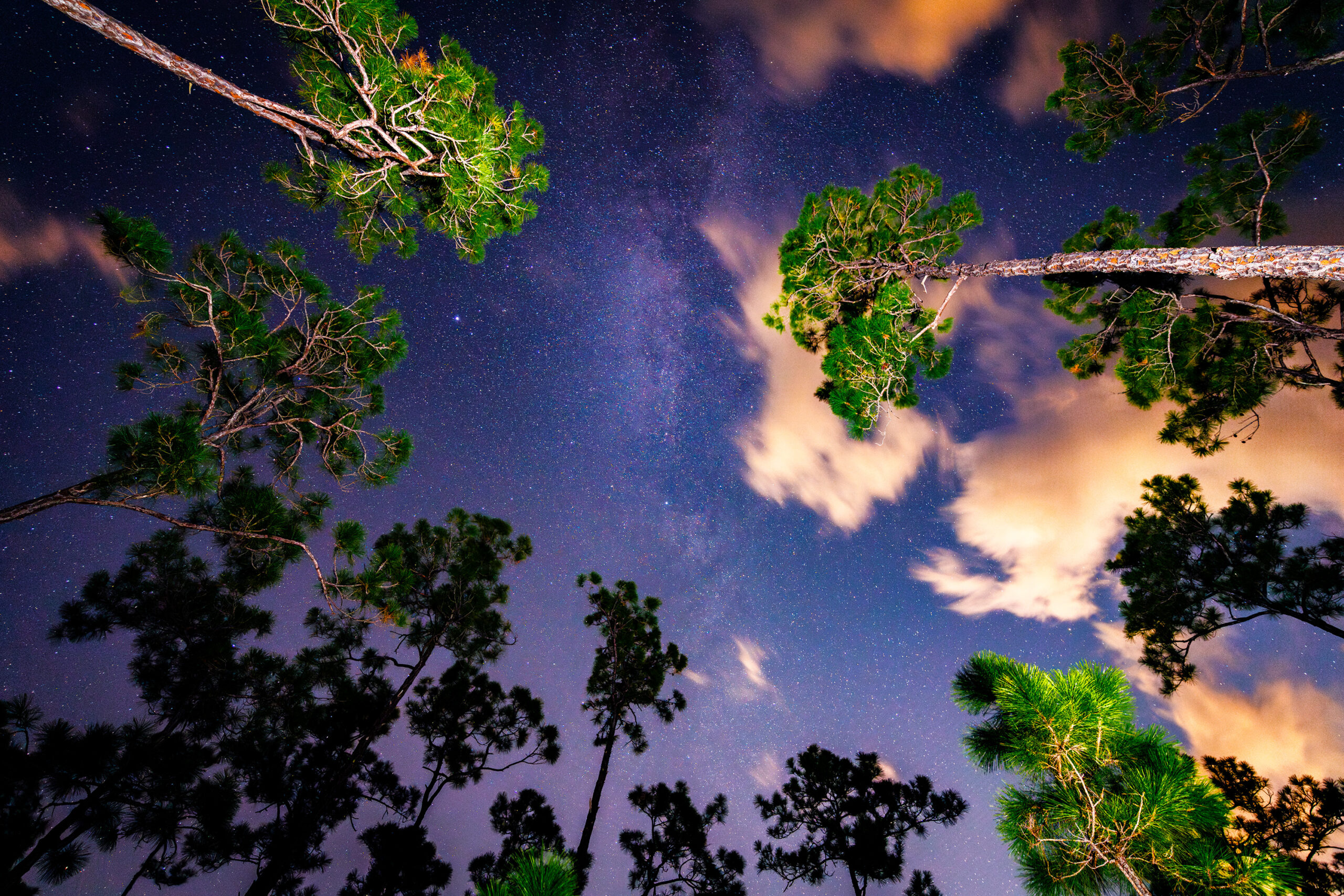 The 5 Best Places to Stargaze in Florida Live Wildly