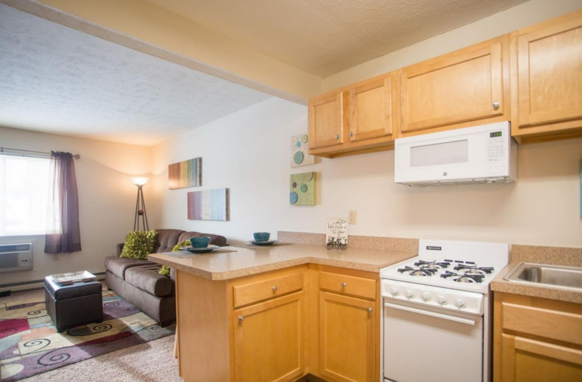 Shadow Run Simco Management Corp.