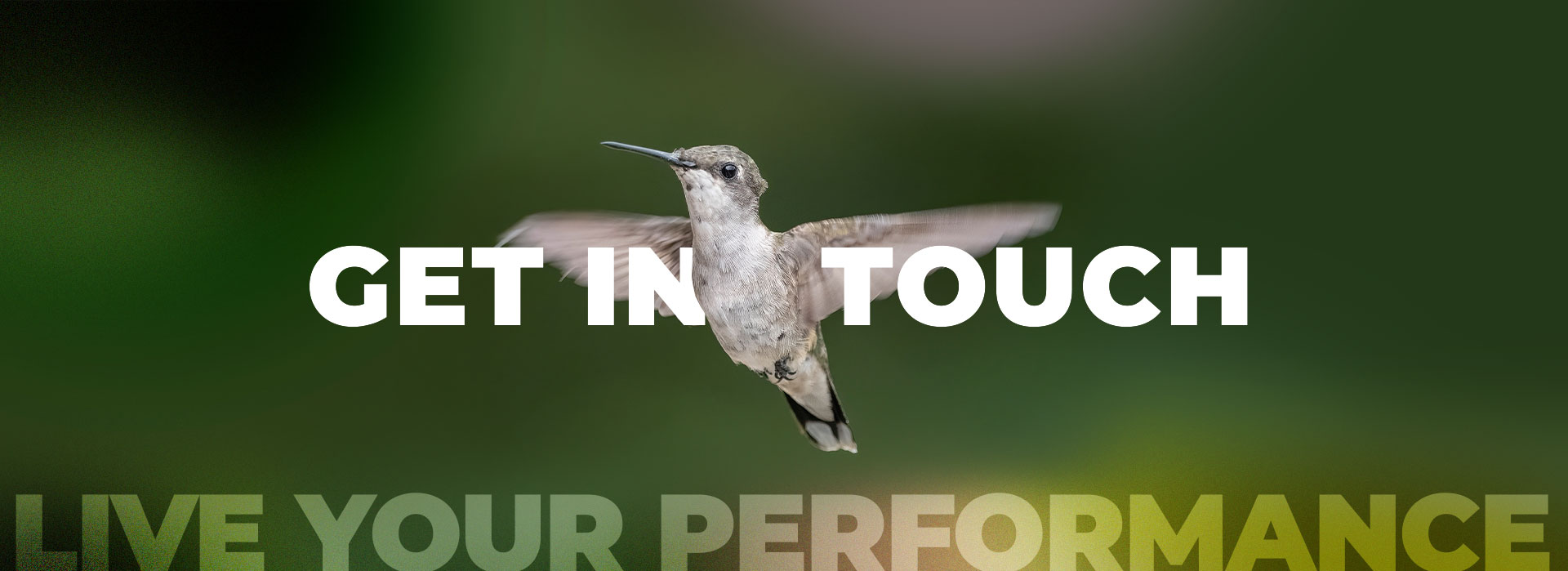 Get in touch Live Your Performance