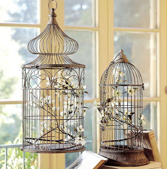 Incredible Bird Cage Ideas With Cheap Price