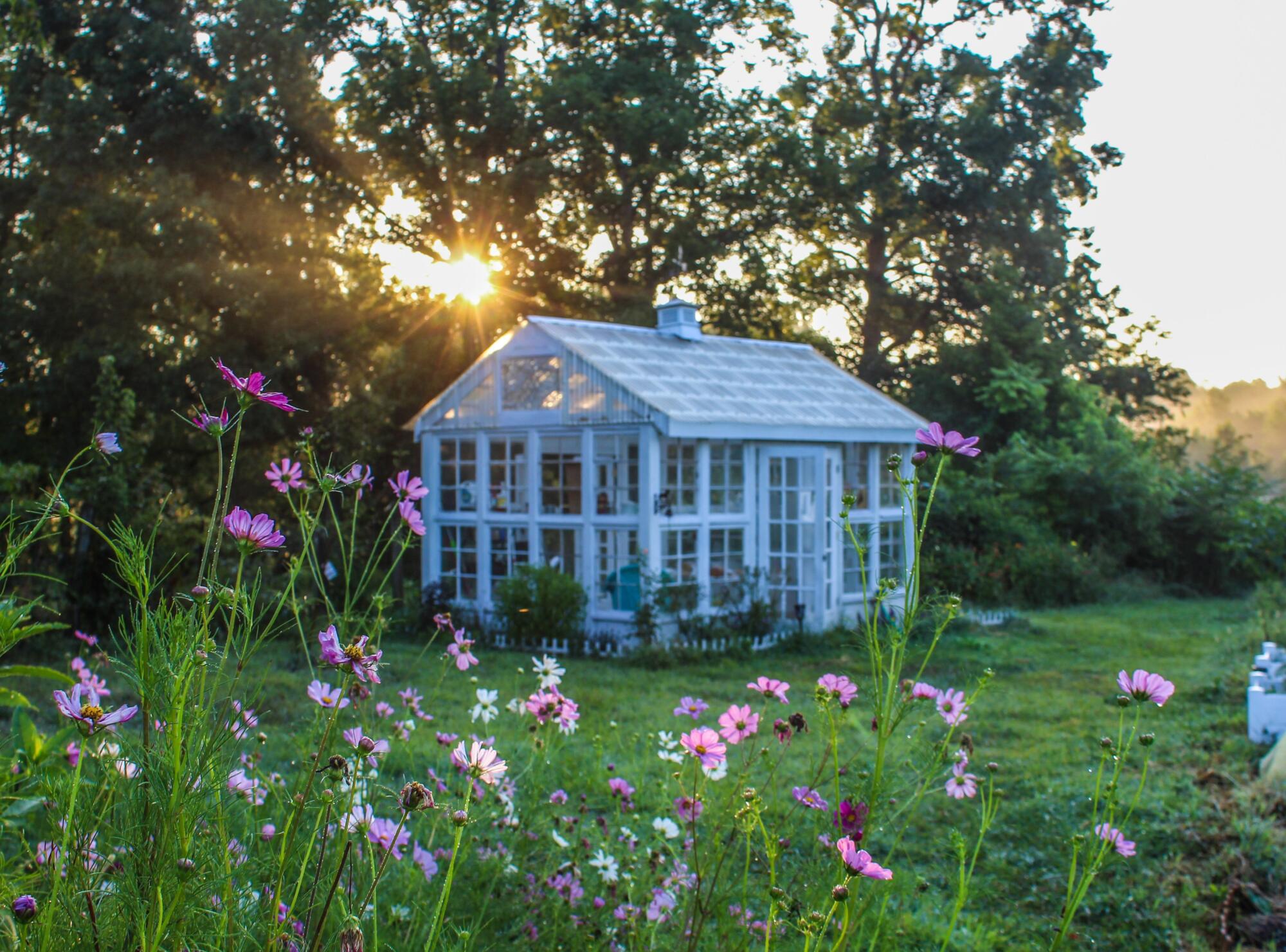 Why You Should Consider a Wooden Greenhouse for Your Garden