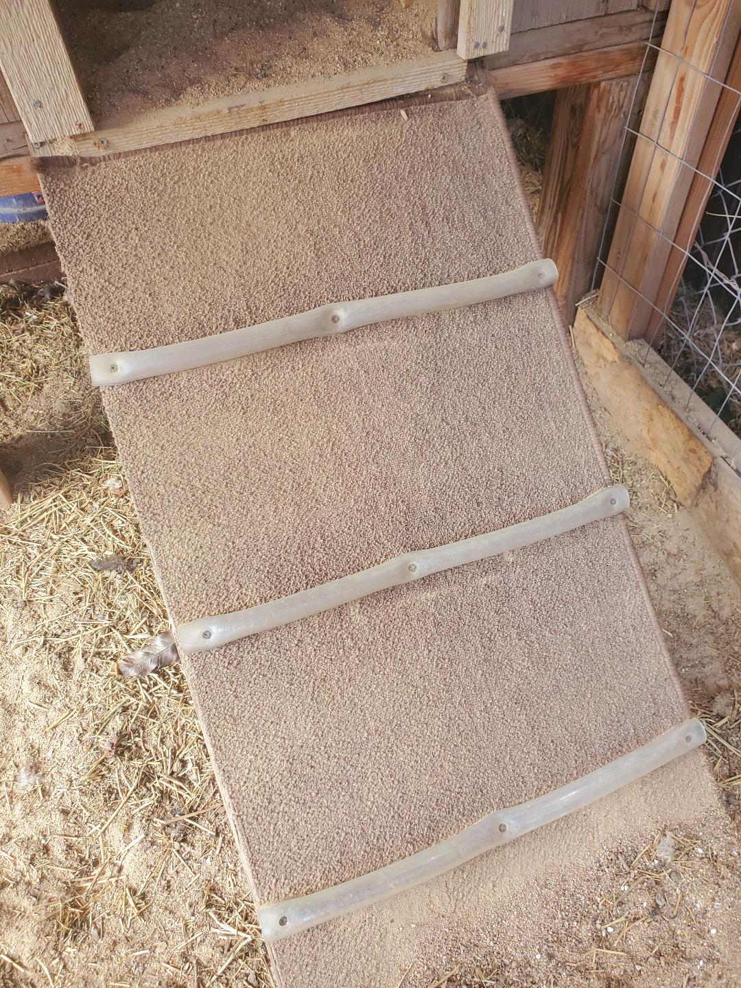 chickenramp Living Chapter Three