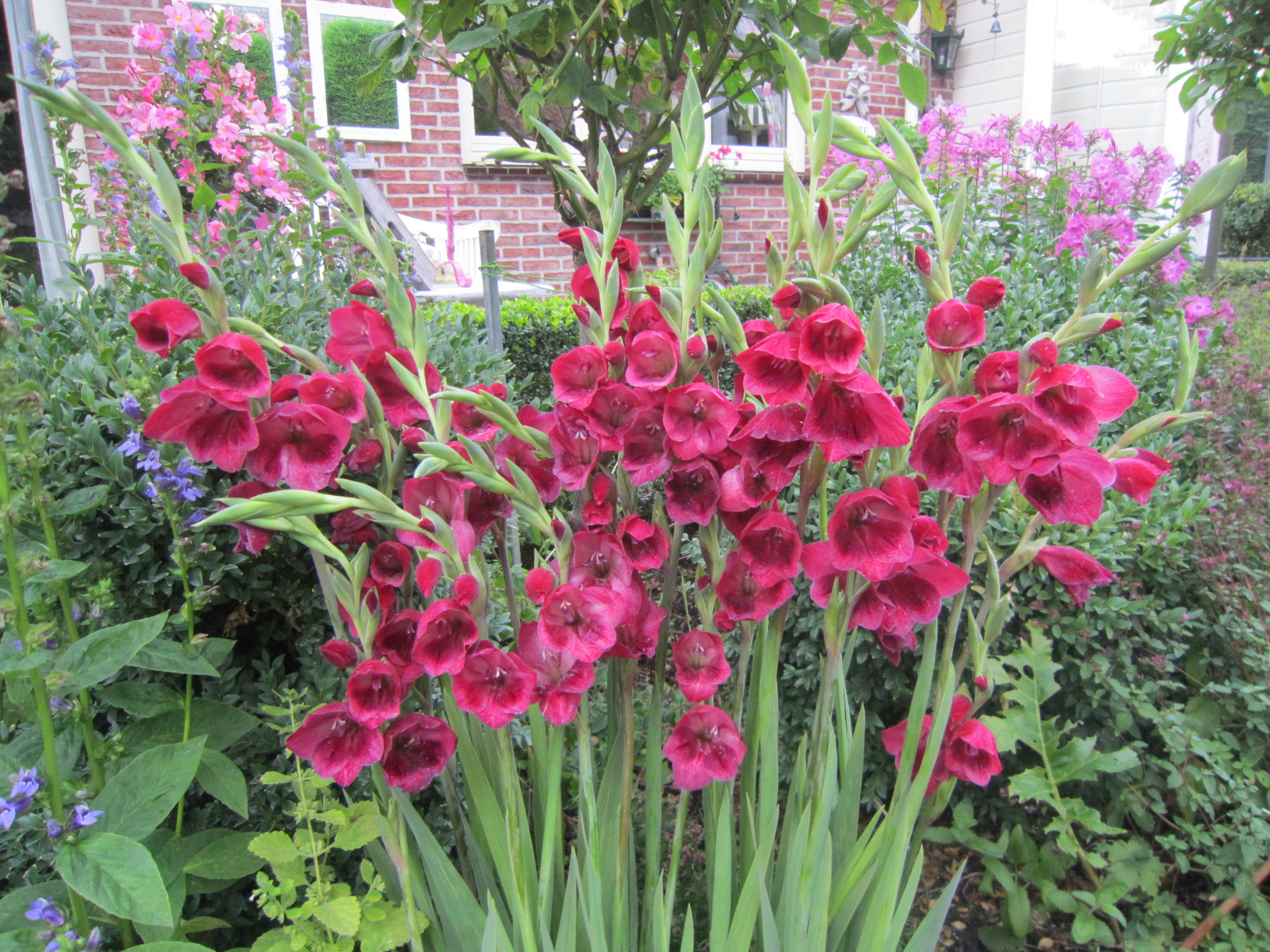 Terms and Conditions Living Colour Bulbs