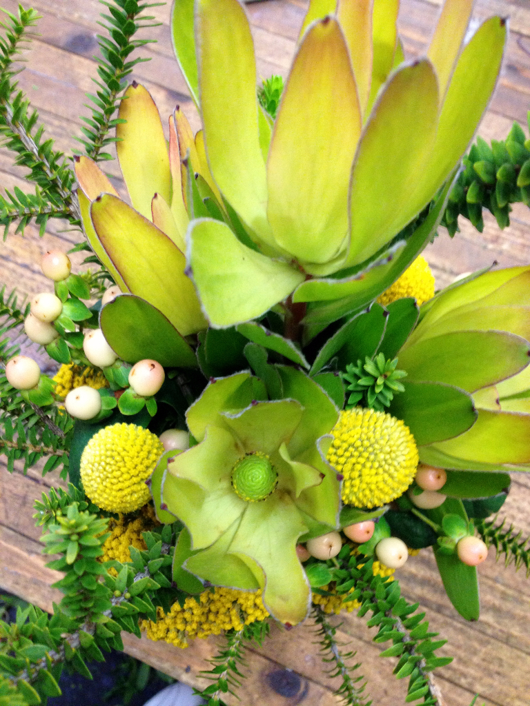 Corporate Flowers Utah Living Creations