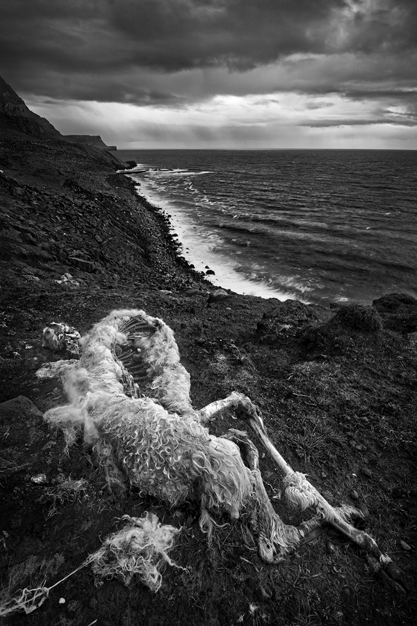 Death Is Instantaneous Landscape photography by Frank Lüdtke