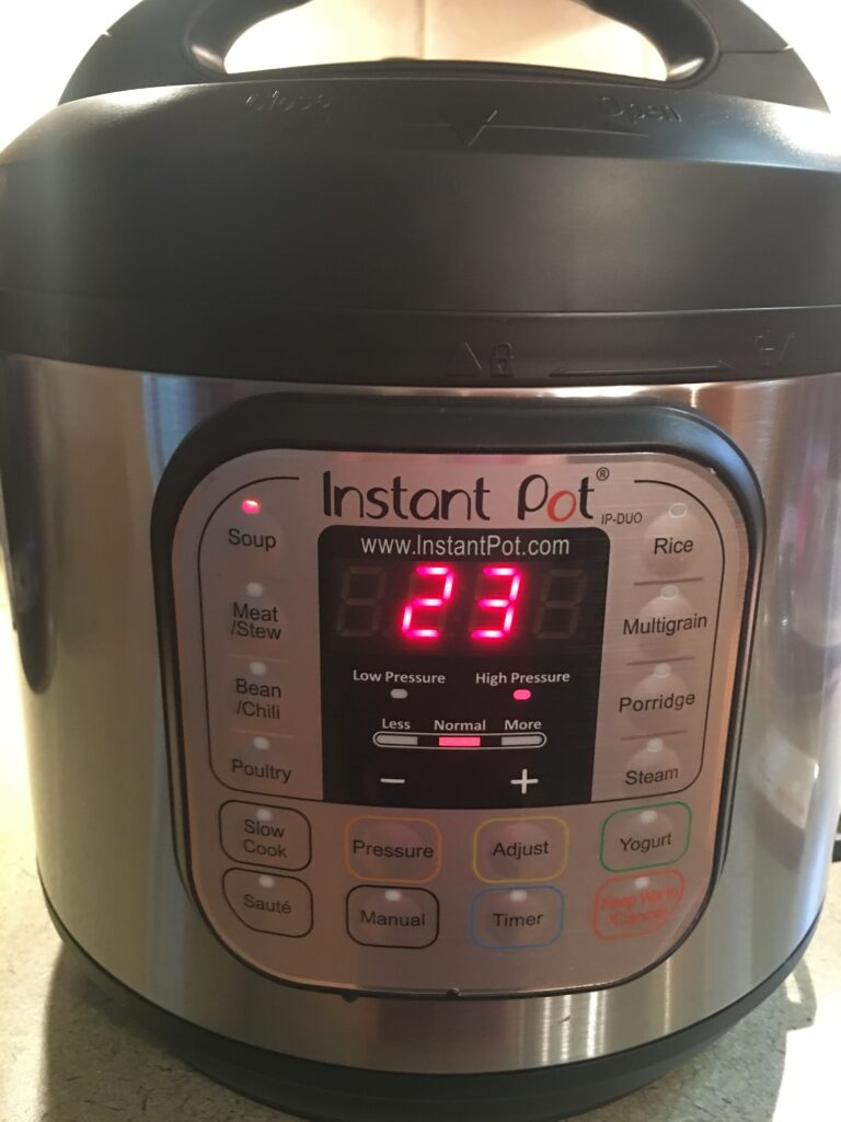 My Instant Pot Review Living in Normal