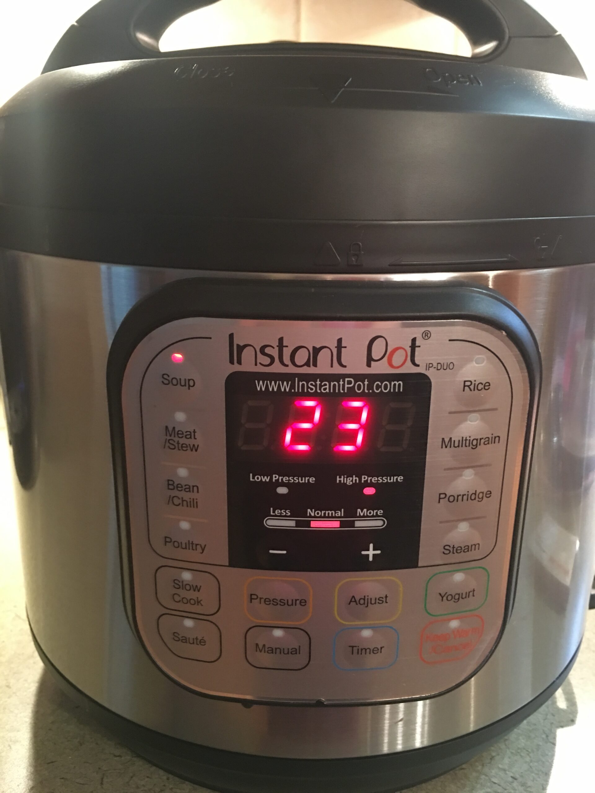 My Instant Pot Review Living in Normal