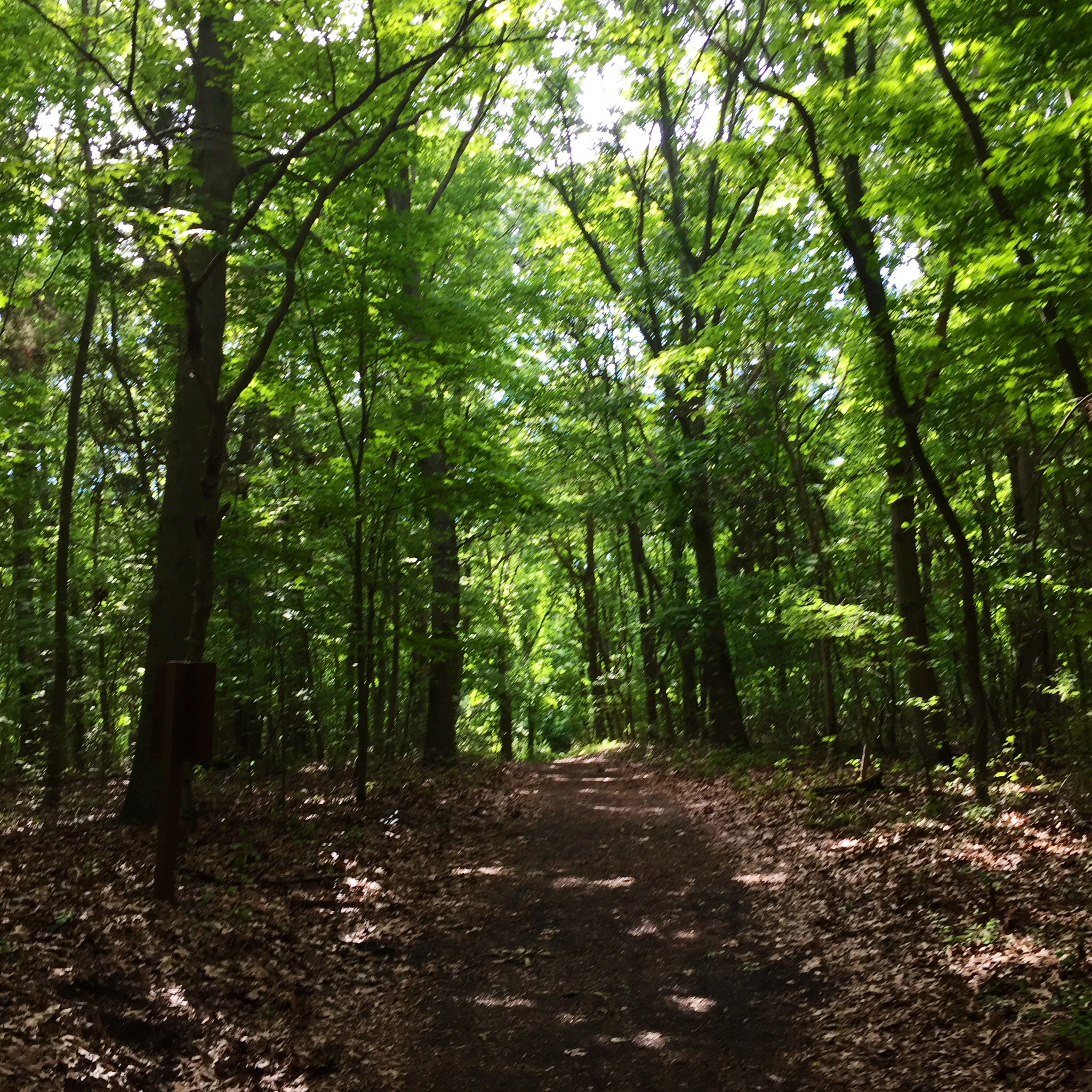 Wednesday Wanderings Target Rock National Wildlife Refuge