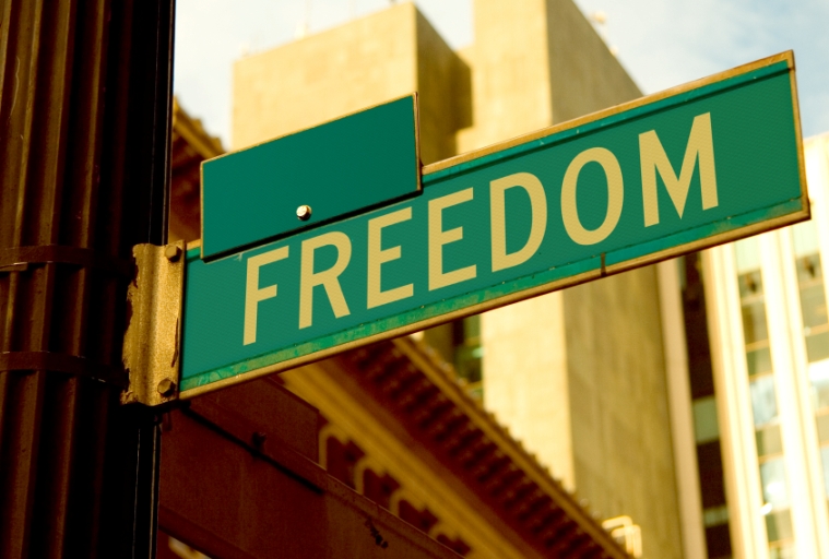 Do We Truly Seek Freedom? | In the Gap