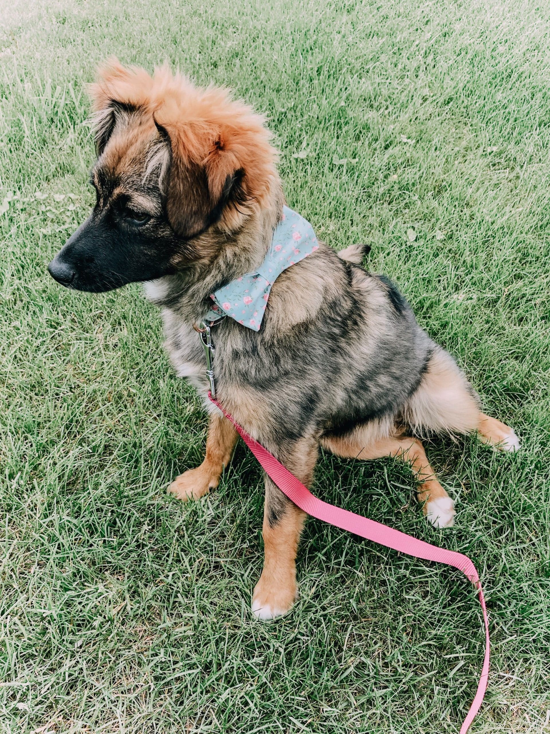 What We're Loving on Amazon // June Edition Living in Yellow