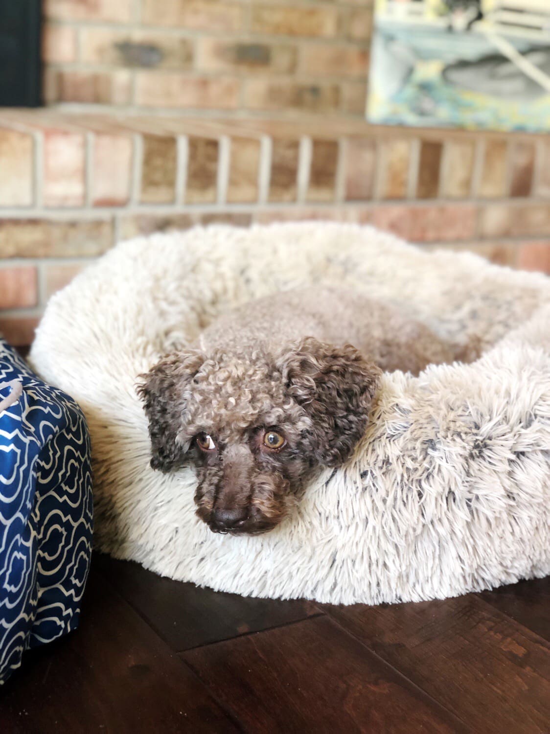 15 Items We're Loving on Amazon // September Edition Living in Yellow