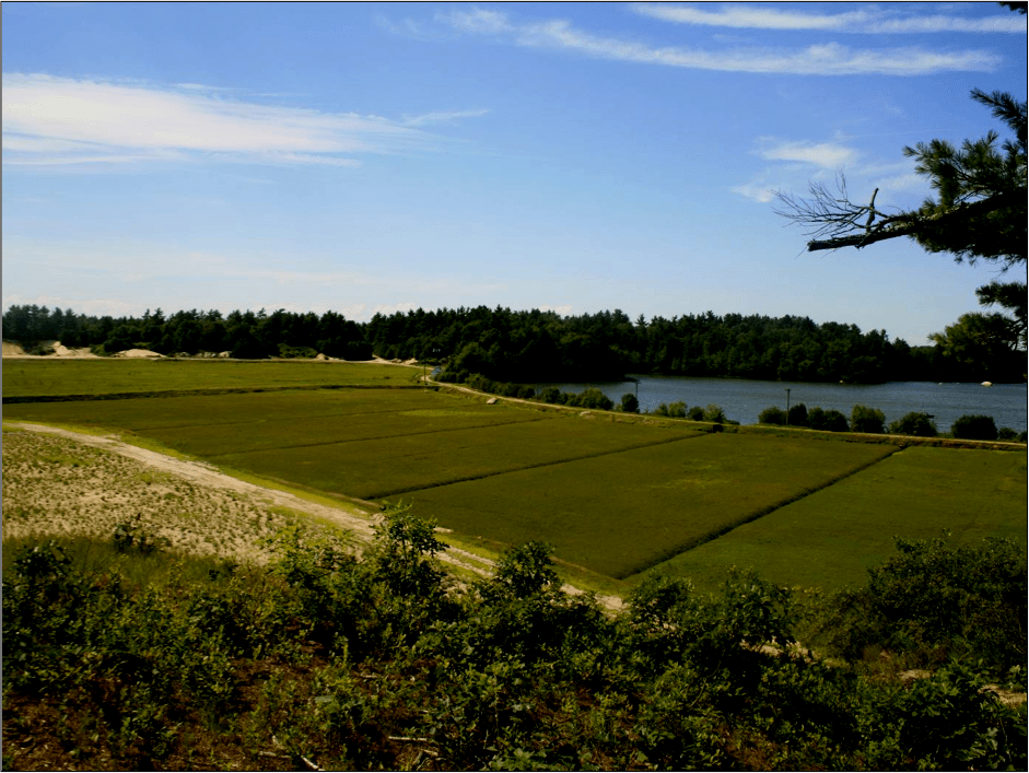 Cape Cod Cranberry Bogs Case Study Living Landscape Observer
