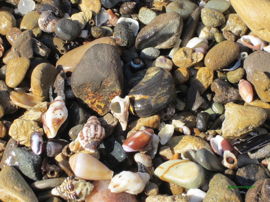 Favorite Orange County beaches