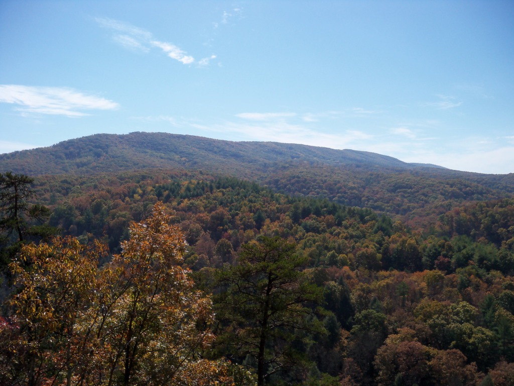 Green Ridge State Forest Flintstone MD Living New Deal