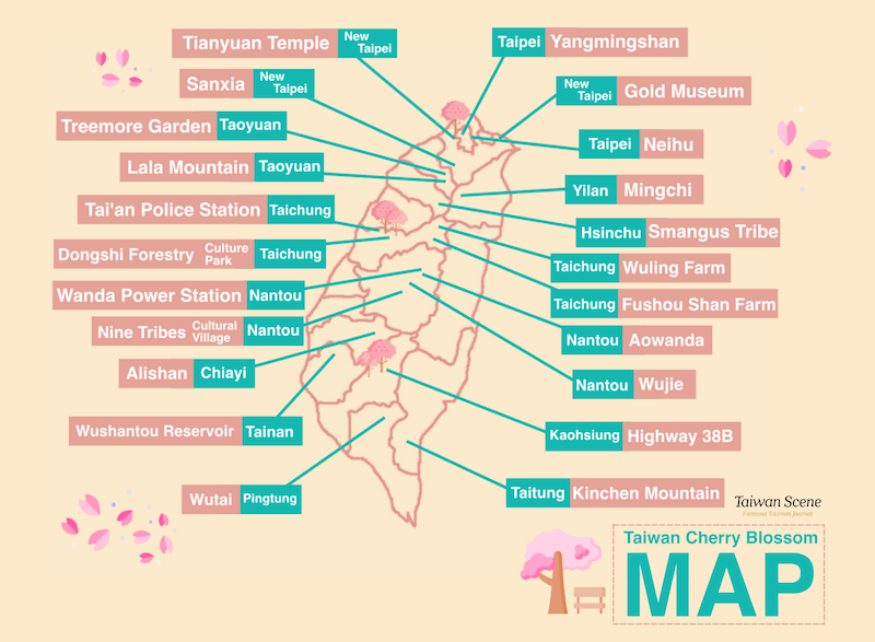 Cherry blossom in Taiwan 2023 forecast — The best time & 8 best places