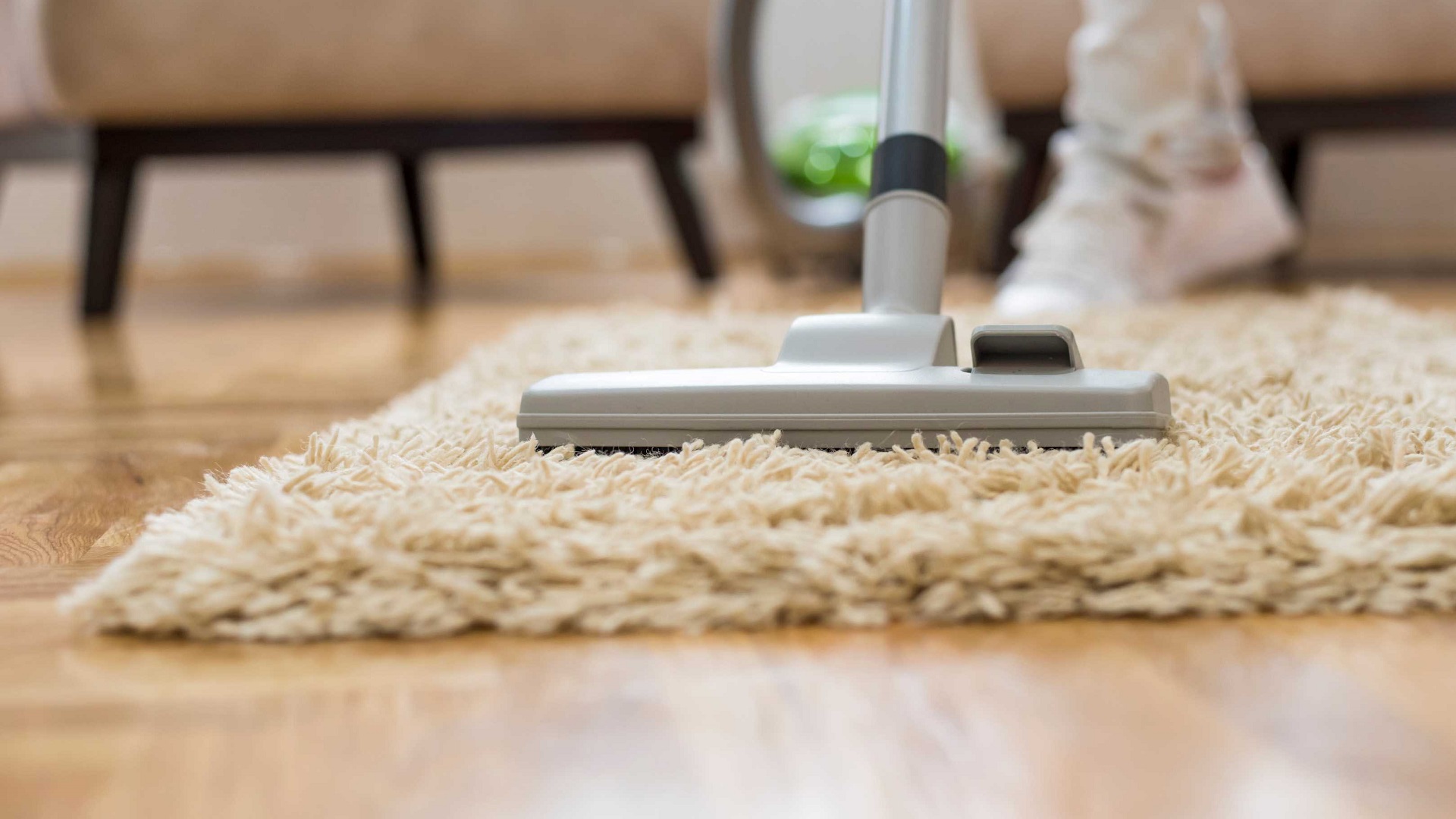 Best Vacuums For HighPile Carpets Living Pristine