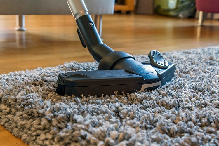 The Best Water Vacuum Cleaners For Your Home Living Pristine