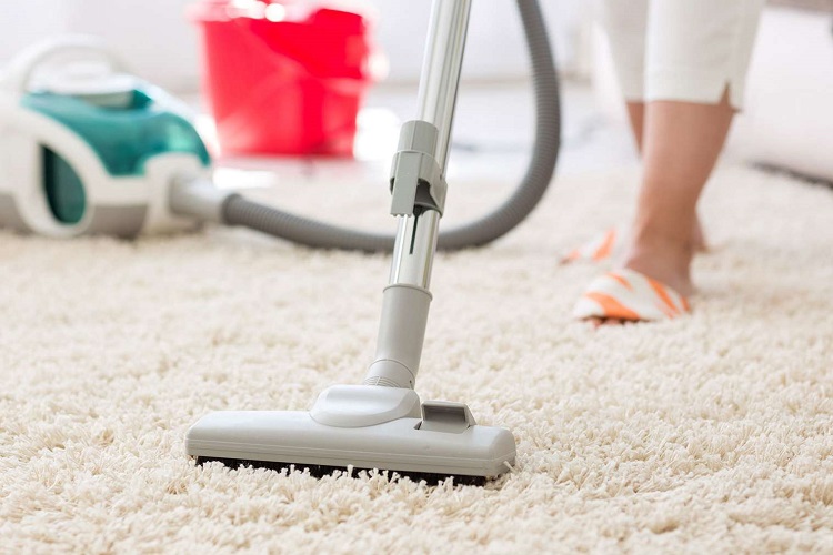 Best Vacuums For HighPile Carpets Living Pristine