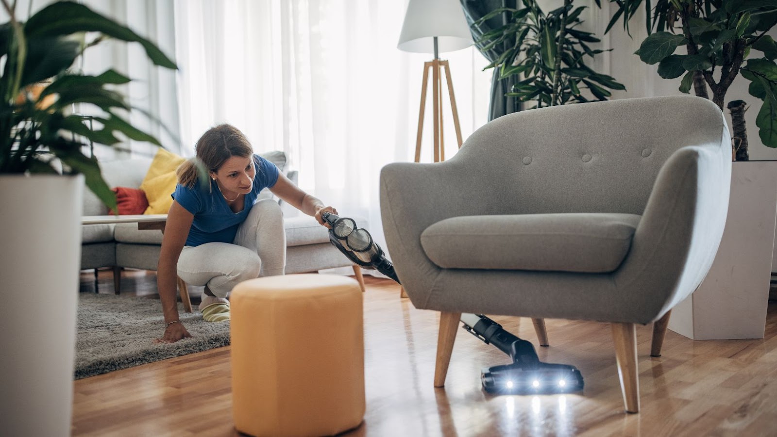 Where to Buy Dyson Vacuum The Best Places to Purchase Your Next