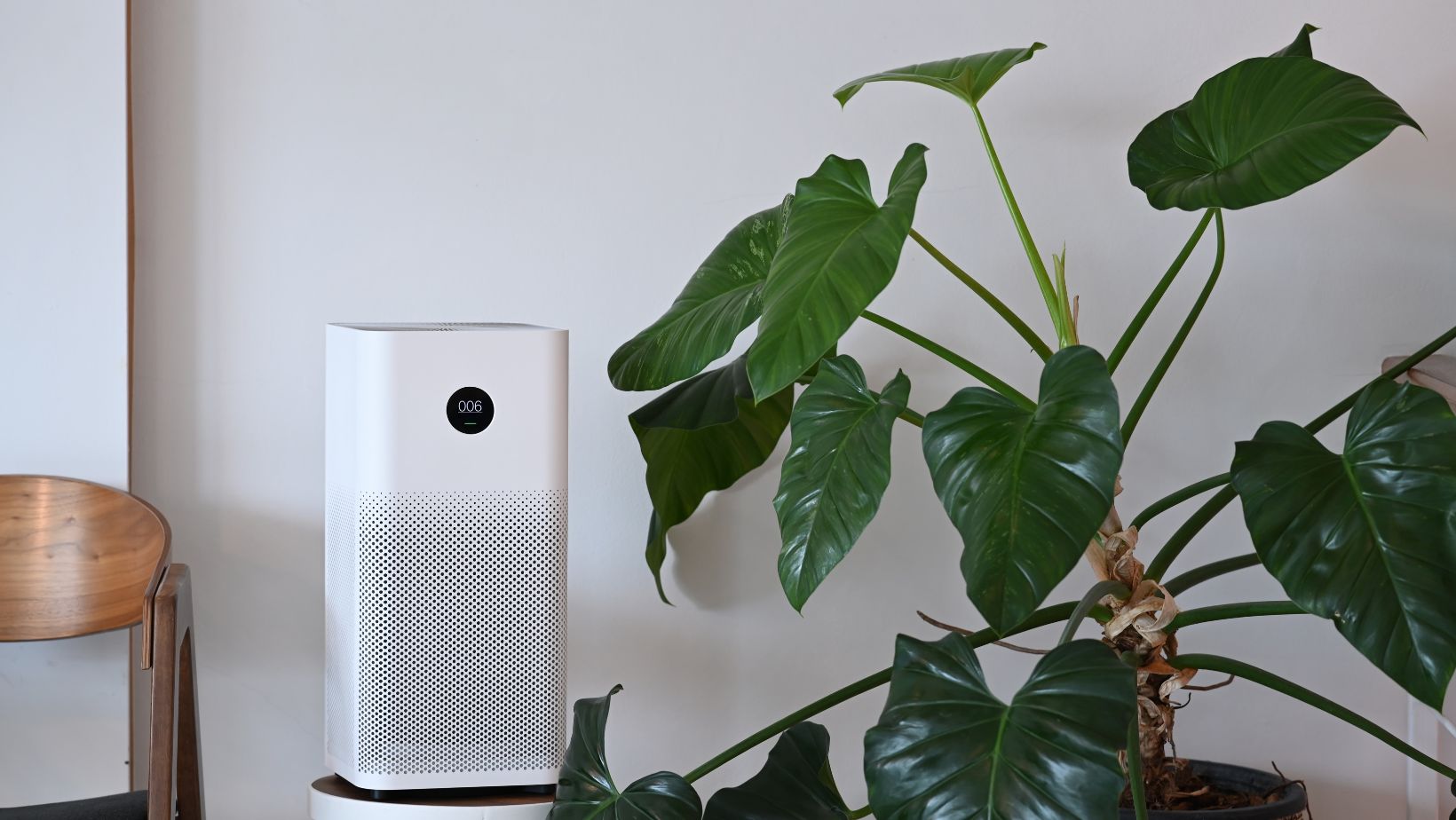 How to Reset Dyson Air Purifier Easy Guide And Tips Living Pristine