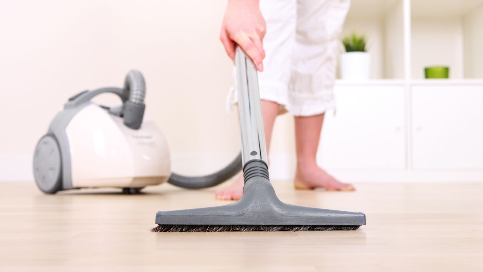 True Or False Can You Vacuum Cat Litter? Living Pristine
