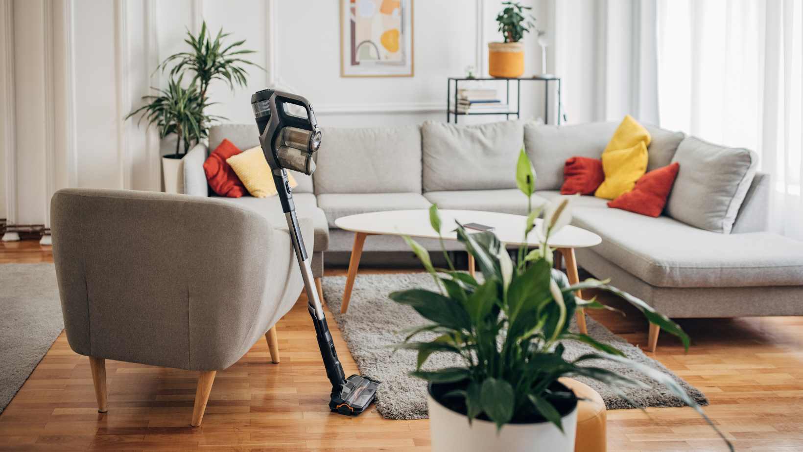 Can You Vacuum Ants? An Effective Solution For Eliminating Ant