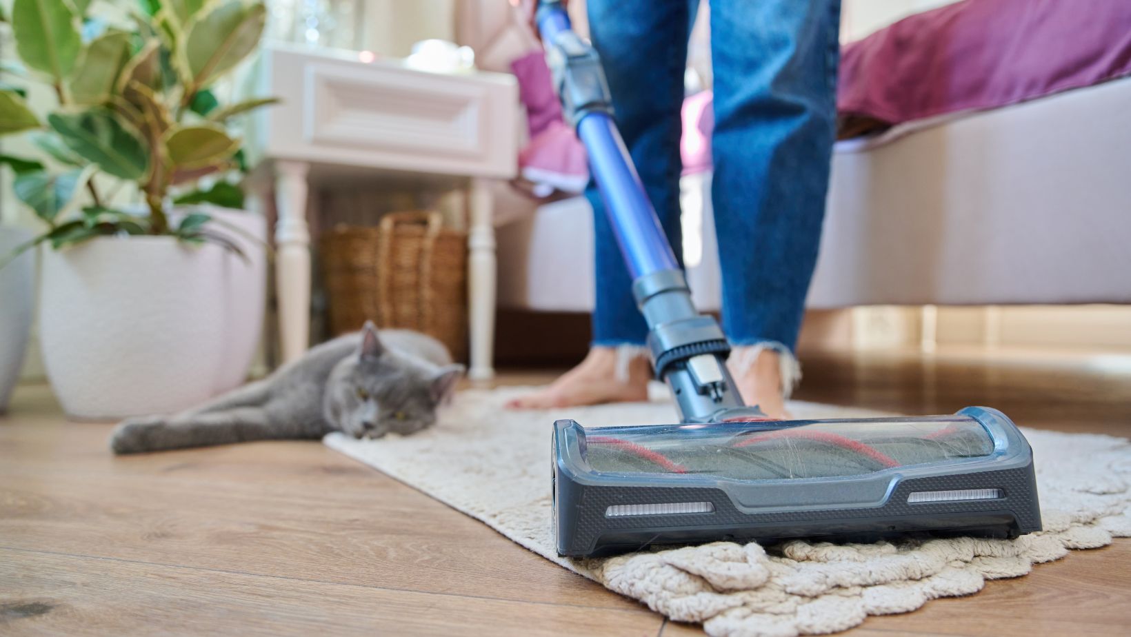 Shark Pet Hair Vacuum The Ultimate Solution for a FurFree Home