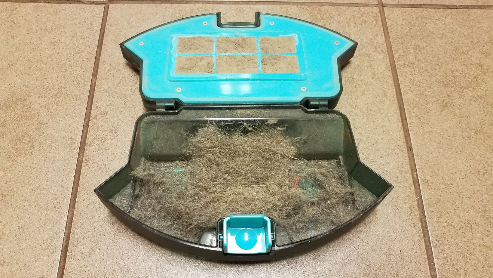 Shark Vacuum for Pet Hair The Solution to Tackle Stubborn Fur Living