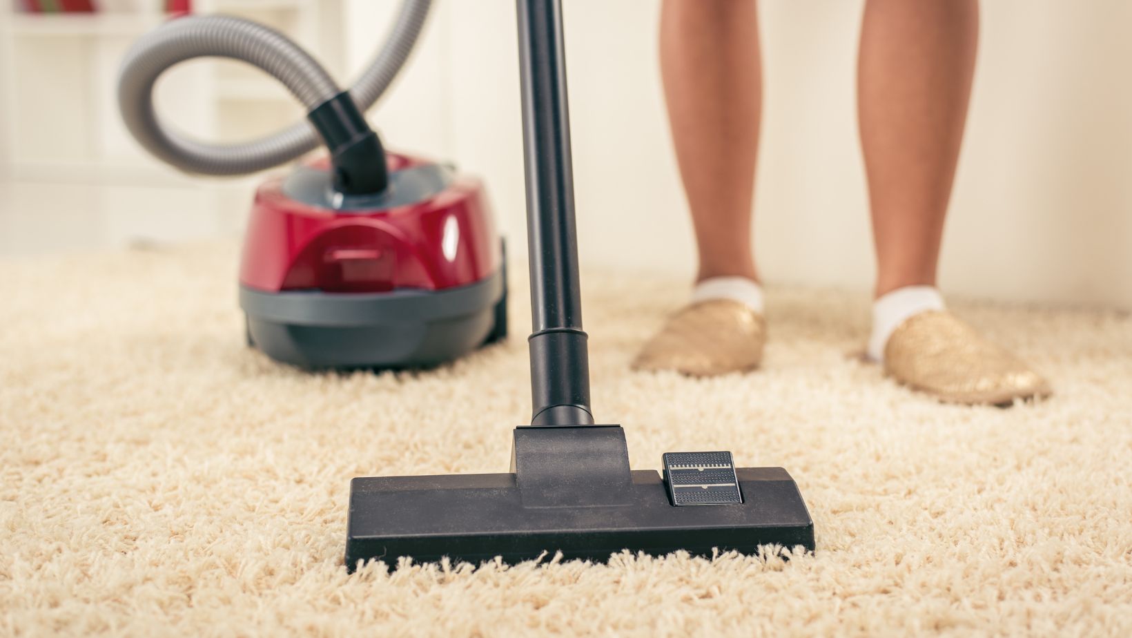 Home Depot Shark Vacuum The Best Choice for Powerful Cleaning Living Pristine