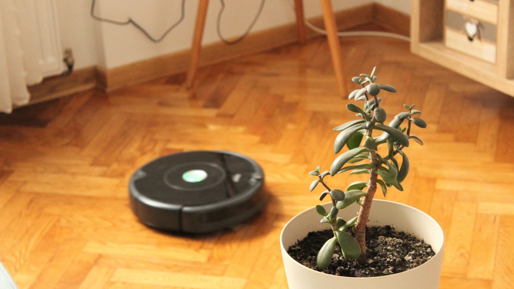 Theories on What is Vacuum Decay Living Pristine