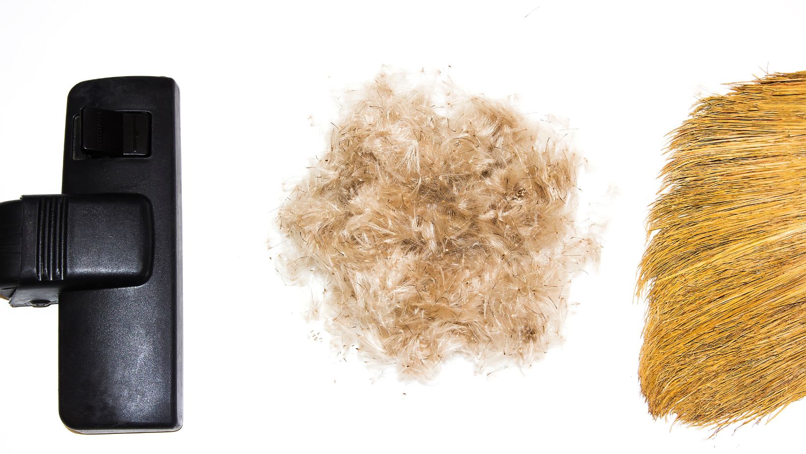 Shark Vacuum for Pet Hair The Solution to Tackle Stubborn Fur Living