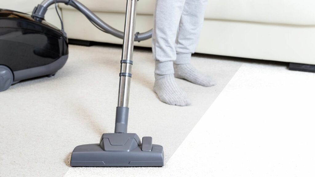 The Ultimate Cleaning Companion Best Buy Shark Vacuum Living Pristine