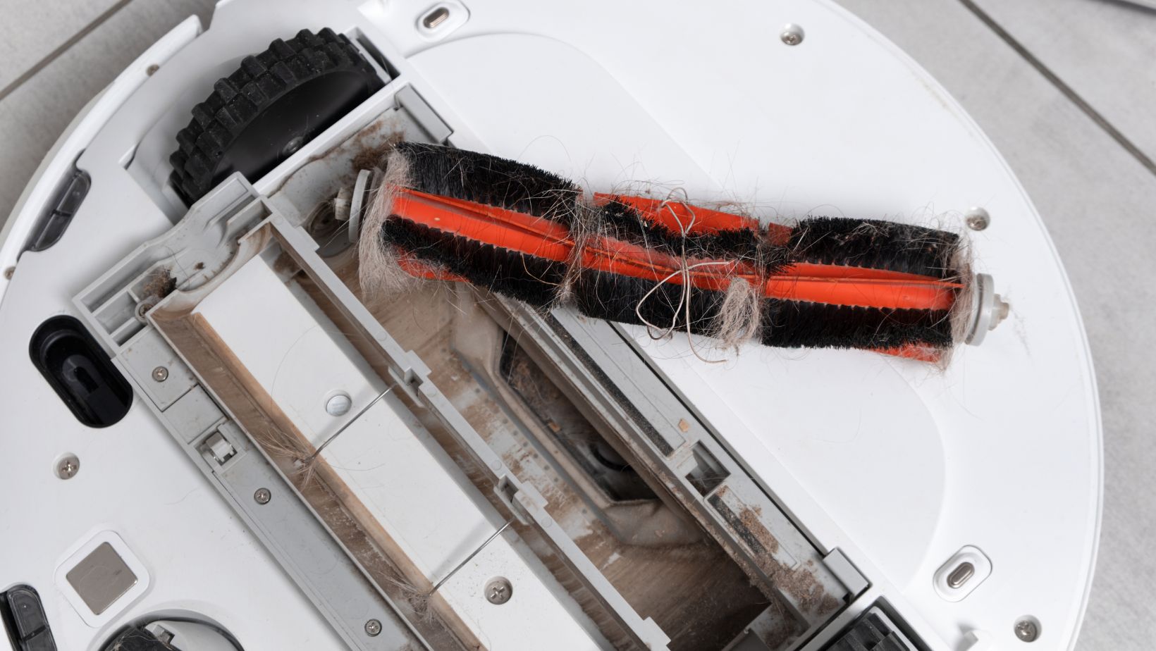 How to Clean A Vacuum For A Spotless Machine Living