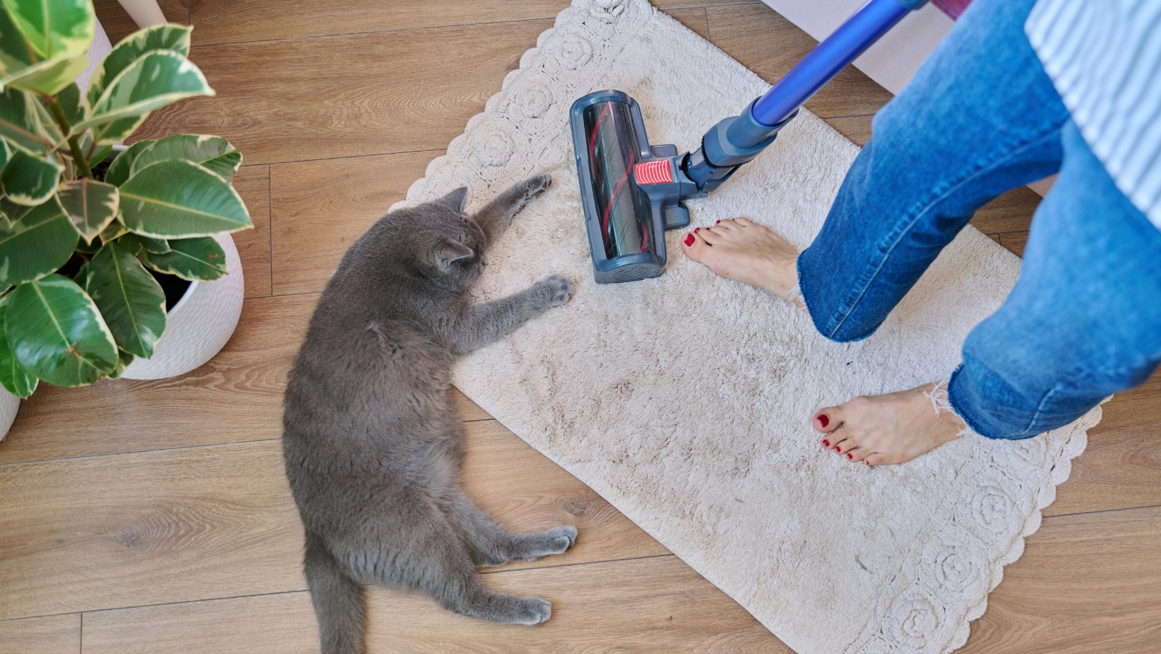 Learn How to Tackle Pet Hair with Cordless Shark Vacuum for Pets