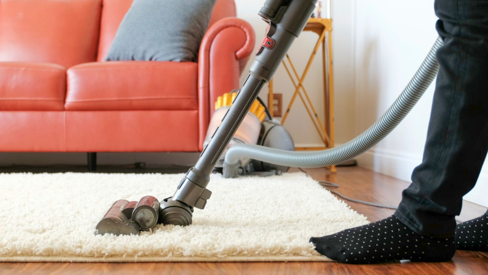 How to Clean the Filter on a Shark Vacuum Why They Need to Be Cleaned