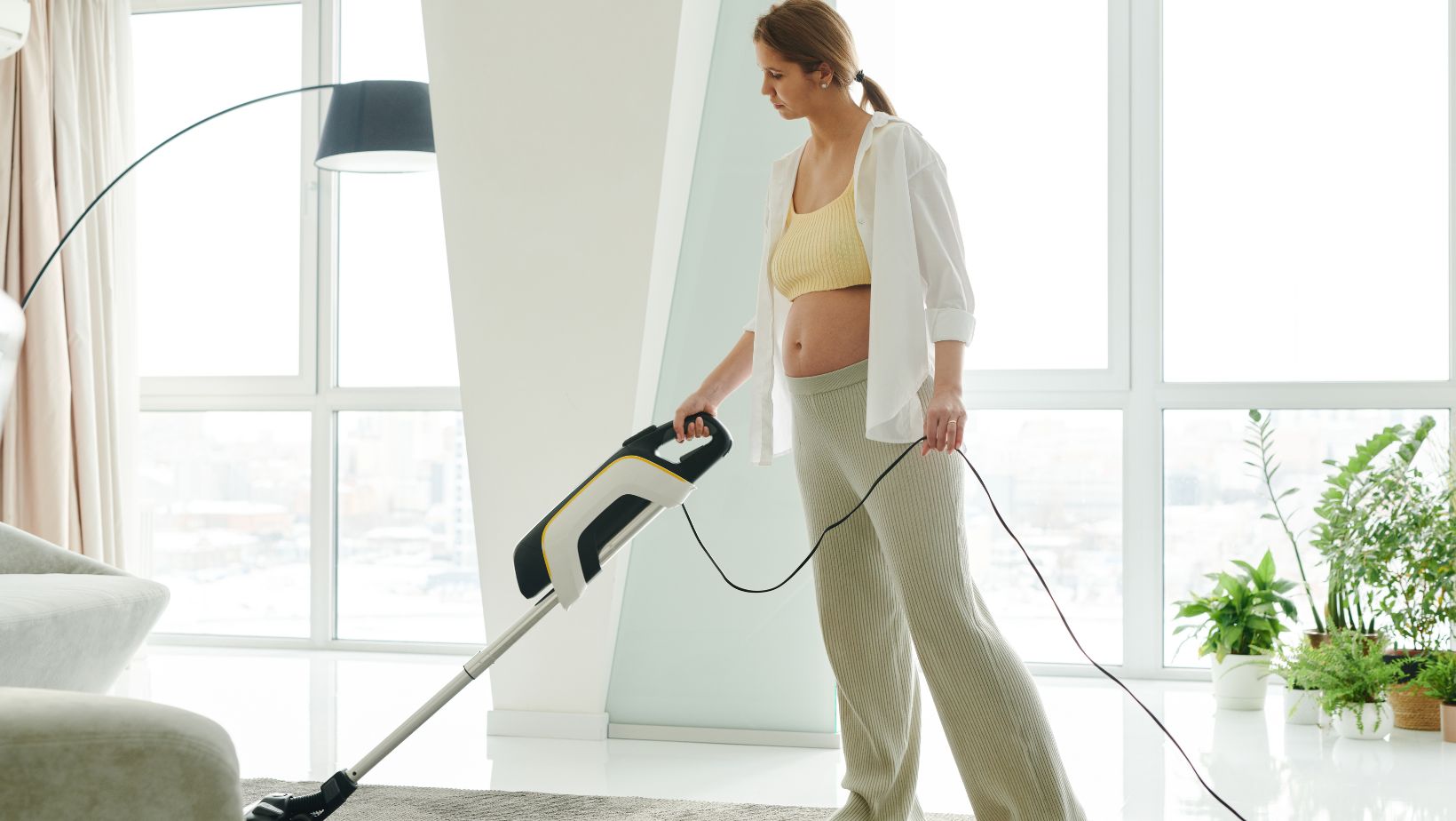 Shark or Bissell Vacuum Which is the Better Choice? Living Pristine