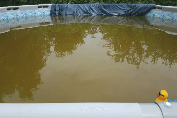 How Do I Get My Pool Water Clear How To Turn Cloudy Pool Water From
