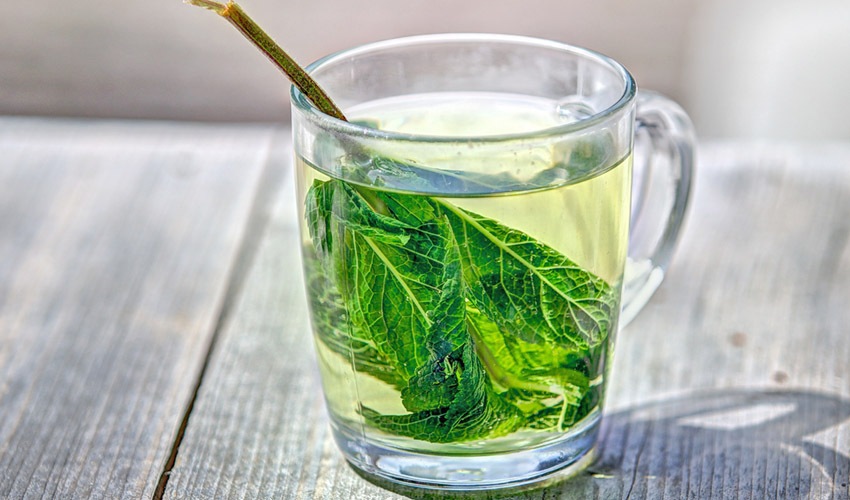 Green Tea Antioxidant Living Secrets