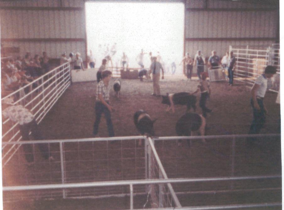 History & Expansion Livingston Enterprises, Inc.