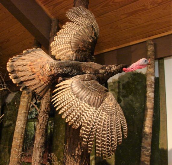 Tickfaw State Park Livingston LA Livingston Parish Louisiana