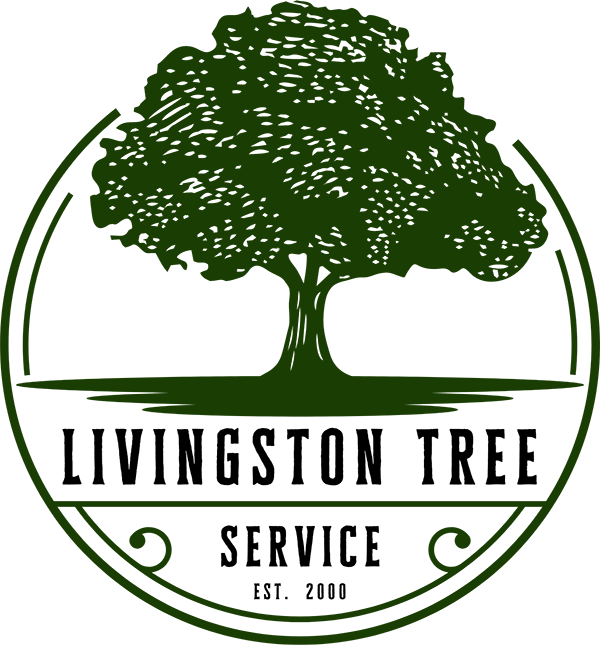 Tree service in Toledo, Ohio Livingston Tree Services Toledo Tree